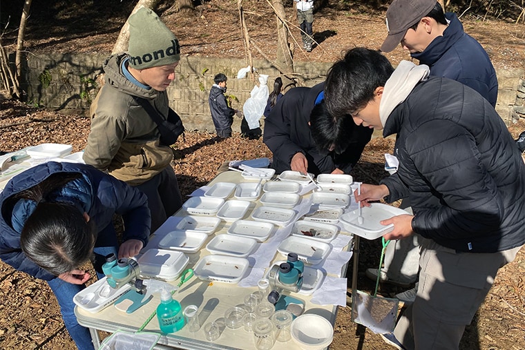 カゲロウ、トビケラ、カワゲラなどの幼虫が多く確認されました