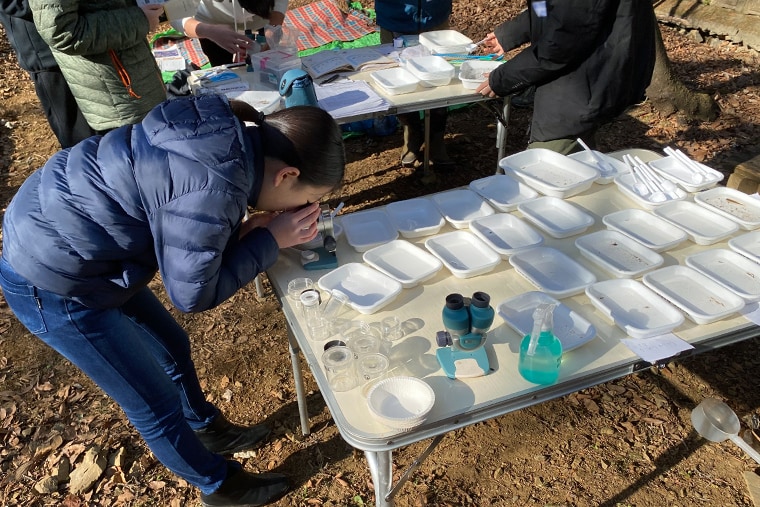 顕微鏡で細部まで観察する様子