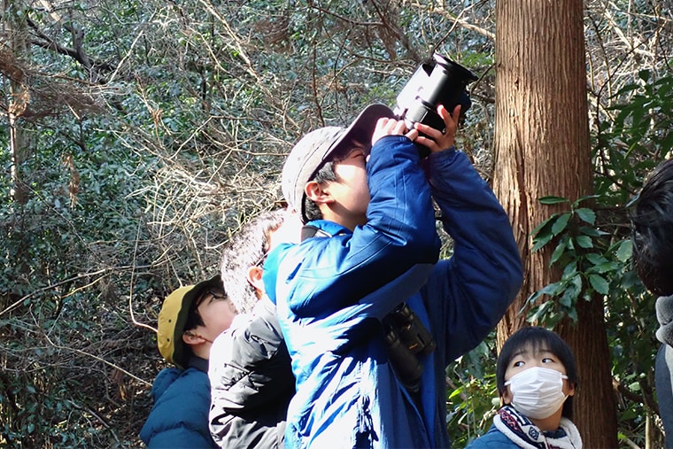 鳥の鳴き声が聞こえると、双眼鏡やカメラを構えてじっくり観察しました