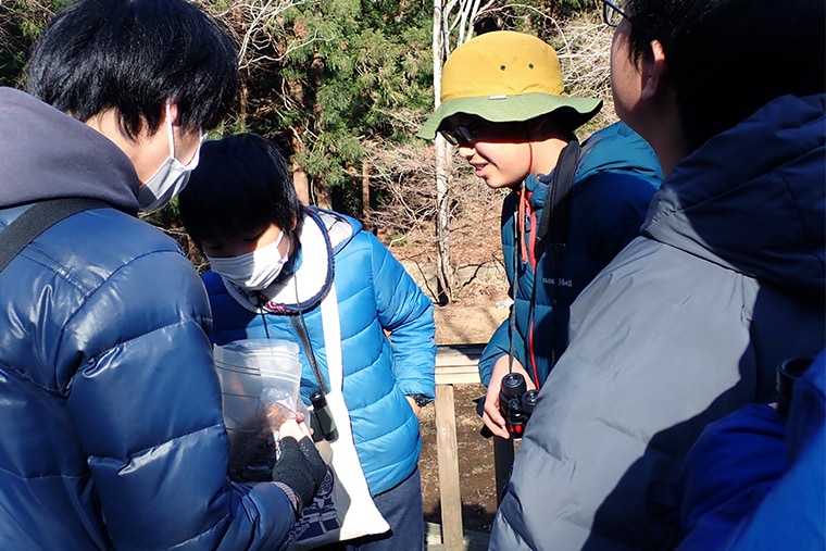 過去に採取した巣を観察