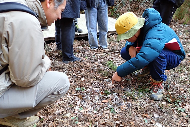 鳥の羽根が散乱している場所を発見しました