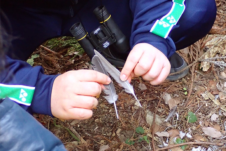 鳥の羽根が散乱している場所を発見しました