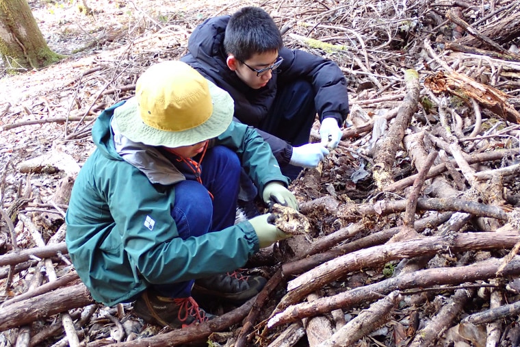生き物がいそうな場所を見つけて自由に観察する様子