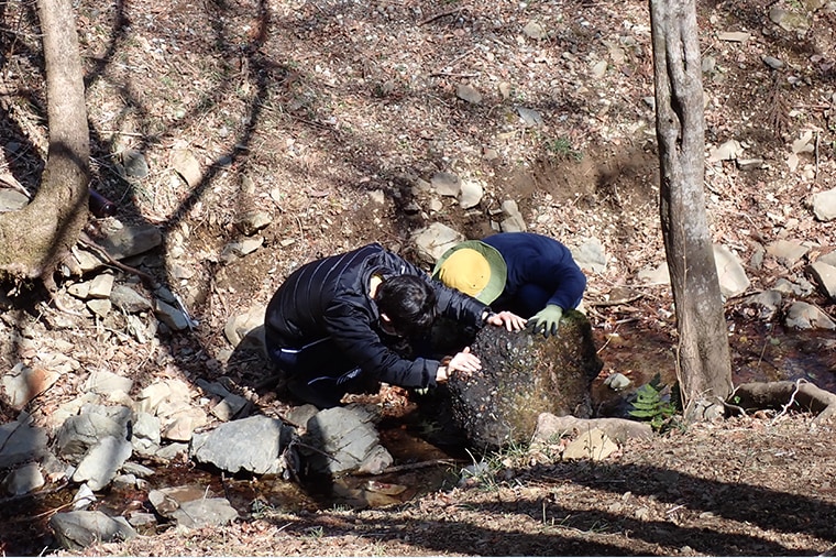 生き物がいそうな場所を見つけて自由に観察する様子