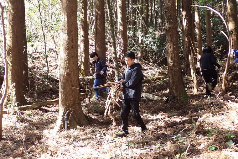 切った草木や落枝を運び、一か所にまとめます まとめた草木は、鳥類や小動物が天敵から身を守る隠れ家・昆虫類の生息地などにもなります