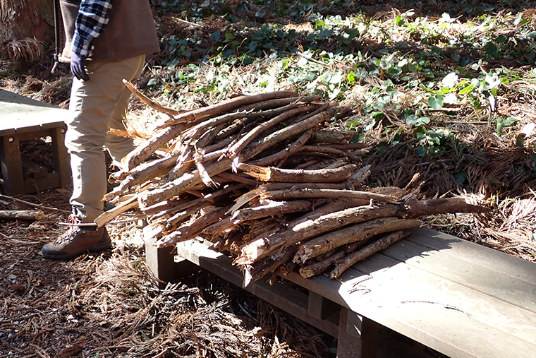 せせらぎ広場やハンモック広場の落枝を拾いました。薪に活用します。