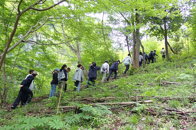 植物や木の実、動物の痕跡などを探しながら、森の中を散策