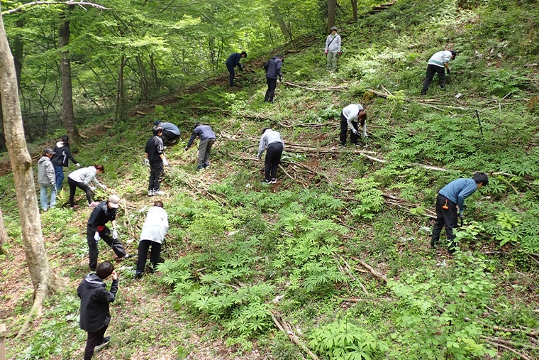 ウッドデッキ広場にある、植えた木が育つ斜面で下草刈りをしている様子