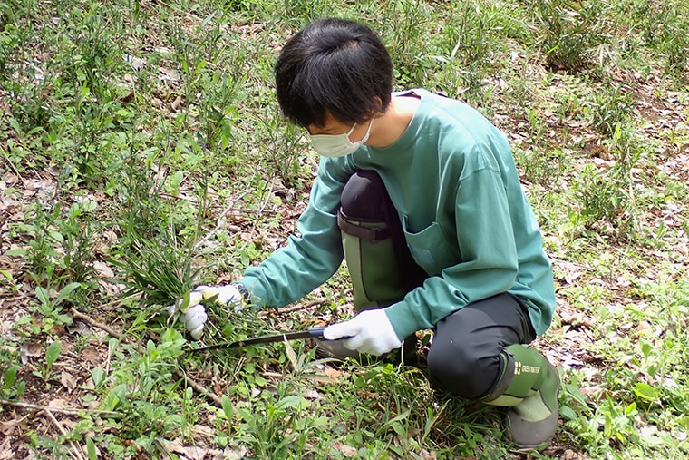 ウッドデッキ広場にある、植えた木が育つ斜面で下草刈りをしている様子