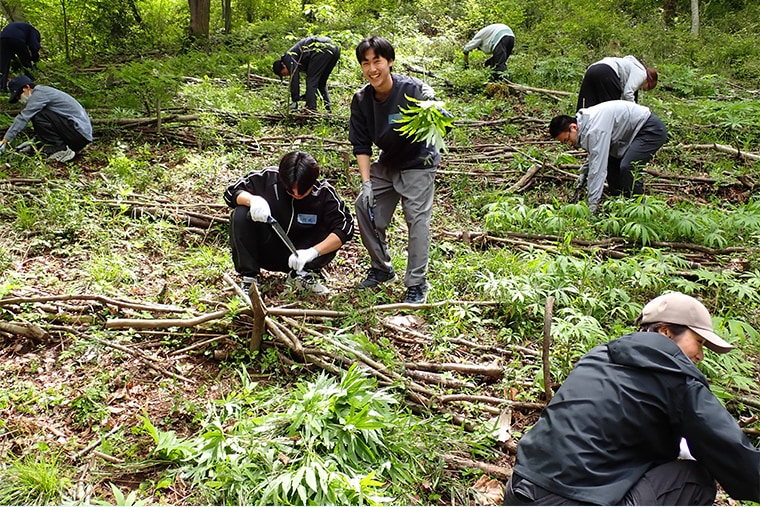 ウッドデッキ広場にある、植えた木が育つ斜面で下草刈りをしている様子