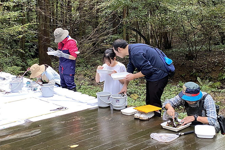水生生物チーム