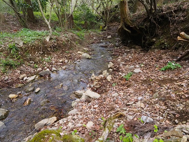 高尾100年の森の間を流れる沢