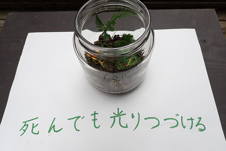 作品発表
