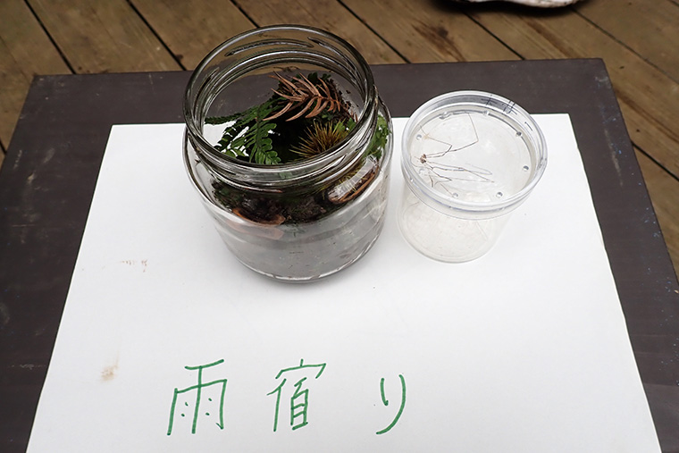 作品発表