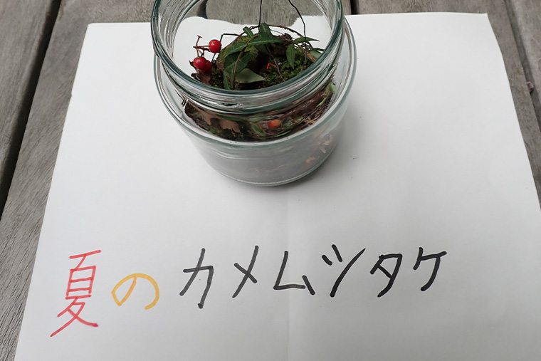 作品発表