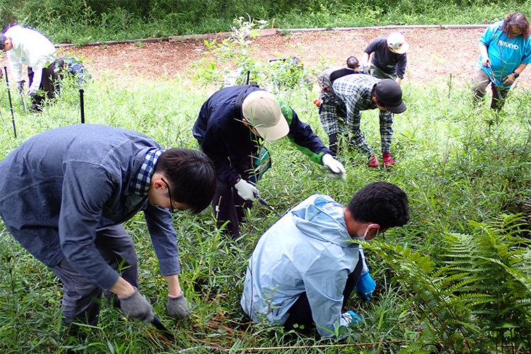 エントランス広場植樹地の下草刈りの様子