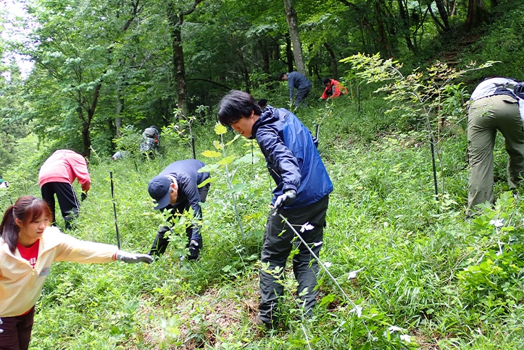 エントランス広場植樹地の下草刈りの様子
