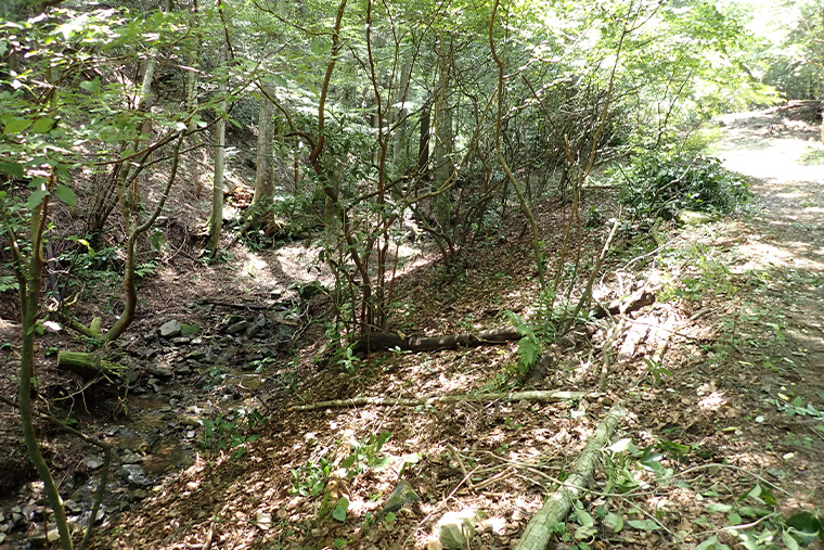 見通しの良い空間へと変化