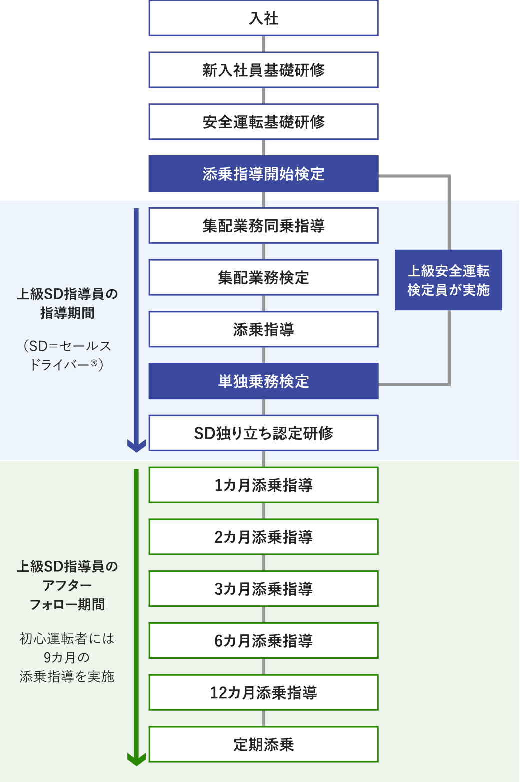 新人ドライバーの育成フロー図です。新入社員が「入社」し、「新入社員基礎研修」の後「安全運転基礎研修」を受け、「添乗指導開始検定（上級安全運転検定員が実施）」を行います。続けて「上級セールスドライバー指導員の指導期間」として、「集配業務同乗指導」「集配業務検定」「添乗指導」を受けた後に「単独乗務検定（上級安全運転検定員が実施）」を受け、「セールスドライバー独り立ち認定研修」を行います。さらに「上級セールスドライバー指導員のアフターフォロー期間」として、「1カ月添乗指導」「2カ月添乗指導」「3カ月添乗指導」「6カ月添乗指導」「12カ月添乗指導」を経た後、「定期添乗」が行われます。初心運転者には9カ月の添乗指導を実施します。