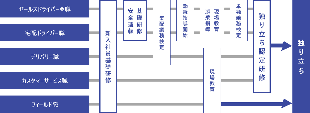 セールスドライバー&reg;職、宅配ドライバー職、デリバリー職、カスタマーサービス職、フィールド職の研修フロー図。全職種は新入社員基礎研修を受講する。セールスドライバー&reg;職など4職種は安全運転・基礎研修、集配業務検定、添乗指導開始、添乗指導、現場教育、単独乗務検定、独り立ち認定研修を経て独り立ちへ。フィールド職は新入社員基礎研修後、現場教育を経て独り立ちへ。
