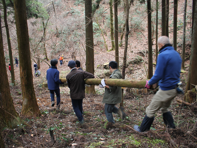 森林で複数の人物が丸太を運んでいる。